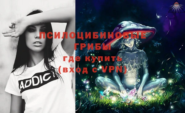 таблы Медвежьегорск