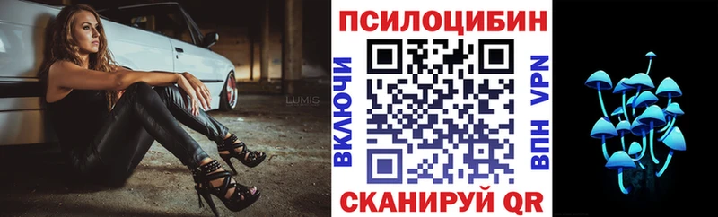 Галлюциногенные грибы Psilocybine cubensis  как найти наркотики  Олонец 